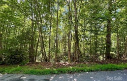 Laurel Forest Drive, Hendersonville, NC 28792