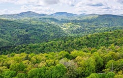 264 Jocassee Trail, Sapphire, NC 28774