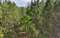 Lila Lane lot: 1, Pembroke, GA 31321