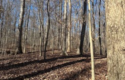 9106 POTOMAC RIDGE ROAD, GREAT FALLS, VA 22066