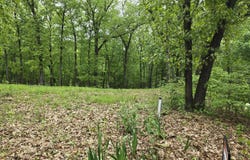 Lot 10 North Dr, Knox, IN 46534