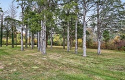 25 Whig Street, Dennis, MA 02638