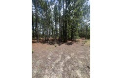 0 Cassie Road Road, Batesburg-Leesville, SC 29006