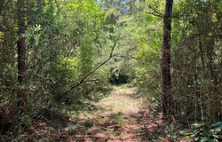 Hwy 48 lot: 1, Sandy Hook, MS 39667