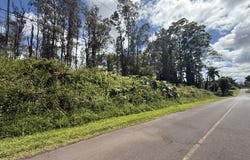 AINALOA DR, Pahoa, HI 96778