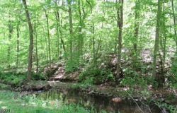 Sweet Hollow Rd, Holland Twp., NJ 08848