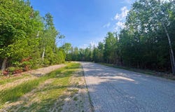 395 & 396 Balsam Drive, Presque Isle, MI 49777