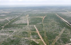 Tbd County Road 173, San Diego, TX 78332