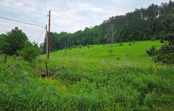 00 Buffalo Street, Coudersport, PA 16915