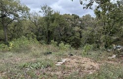 216 W South Street, Neosho, MO 64850