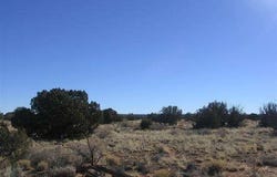 Sec 31 T15N,R16E:Nw4 Se4 --, Heber, AZ 85928