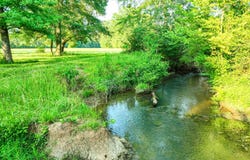 Howells Cove Road, Talladega, AL 35160