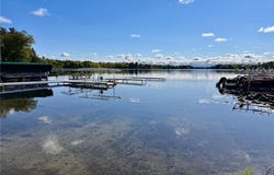 Tbd Ja Bird Loop NE, Longville, MN 56655