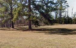 762 Aldridge Road, Buena Vista, GA 31803