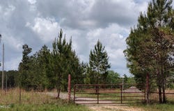 110. Rosenbaum Drive, Poplarville, MS 39470