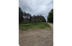 County Line Road, Kingsley, MI 49649