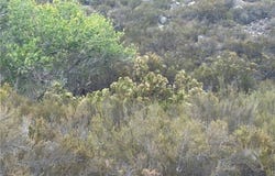 8 Wiley Road, Hemet, CA 92544