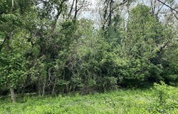 Kristi Road N, Martinsville, IN 46151