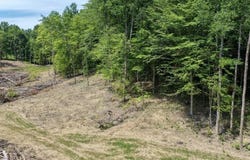 Wilderness Road, Mammoth Cave, KY 42259