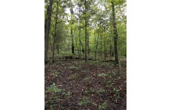 6360 State Road B, Hillsboro, MO 63050