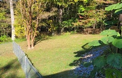 408 Sandy Rd, DOVER, TN 37058