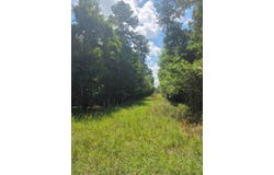 Tobias Rd, Sardis, GA 30456