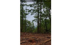 0 S Pittsburg Mountain Road, South Pittsburg, TN 37380