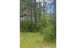 Longleaf Dr, Petal, MS 39465