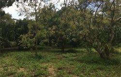 94-1100 KUNIA Road, Waipahu, HI 96797