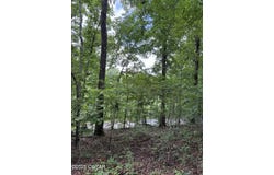 0 Walnut Circle, Sugar Tree, TN 38380