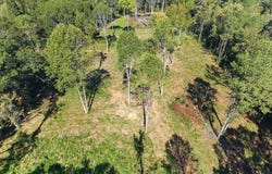 #5 A STREET lot: #5, ONEONTA, AL 35121