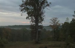 0 County Rd 6, Tract A, Selma, AL 36701