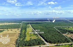 Ranch Road off CR 405 (+/- 60 acres), Lexington, TX 78947