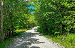 1498 North Hollow Road, Rochester, VT 05767