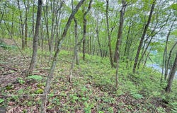182 SALEM MOUNTAIN RD, CARBONDALE, PA 18407