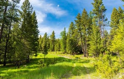 144 Star W Trail, Kila, MT 59920