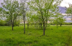 4804 County Road 4506, Commerce, TX 75428