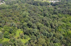 0 BIRCH LANE, PILESGROVE, NJ 08098