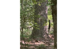0 HWY Highway 8, New Edinburg, AR 71660
