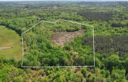 Tbd County Road 1143, Daingerfield, TX 75638