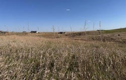 Xxx Trogstad Avenue, Williston, ND 58801