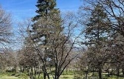 Coopers Hawk Road, Klamath Falls, OR 97601