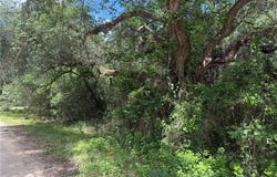 Grand Oak Street lot: 529, Palacios, TX 77465