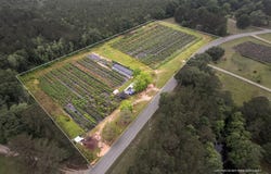 401 Buckatunna Chicora Clara Rd., Waynesboro, MS 39367