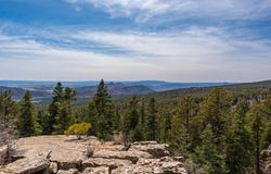 Lot 15 Taylor Ranch Road, Durango, CO 81301