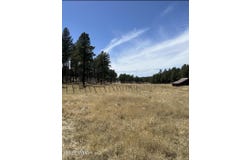Lot B Forest Road 26, Alpine, AZ 85920