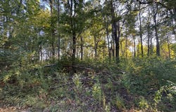 161 Goolsby Road, Eldorado, IL 62930