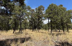 17 Wild Wings Circle, Pecos, NM 87552