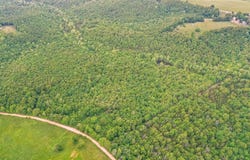 Tbd County Road 95-246, Drury, MO 65638