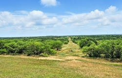 Tract 5 State Highway 6, Moran, TX 76464
